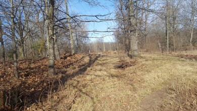 0 N Felch Ave unit 21003119, Sherman Township - Newaygo, MI 49349 - photo 2