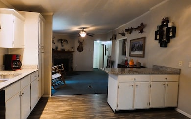 651 New Hope Rd, Ellijay, GA 30540 - photo 3