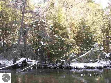 PREMIUM RAPID RIVER FRONTAGE, BLUE RIBBON TROUT FI