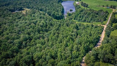 000 Mazanec Lane - Lot 5, Clinton, AR 72031 - photo 4