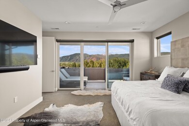 250 Overlook Ridge unit 250, Carbondale, CO 81623 - photo 3