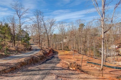 View of road featuring a wooded view
