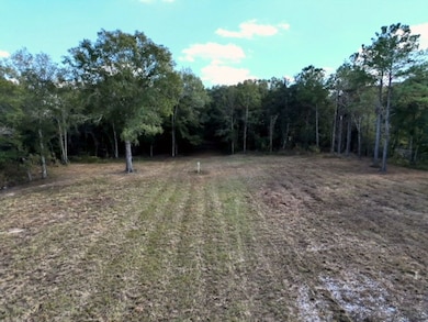 Tbd Goodson Rd, Camilla, GA 31730 - photo 4