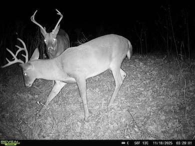 00 Martin Dr, Carthage, MS 39051 - photo 3