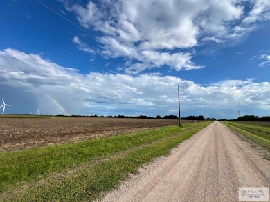 10 Ac (Tr 2) Primrose Rd, Lyford, TX 78569 - photo 3