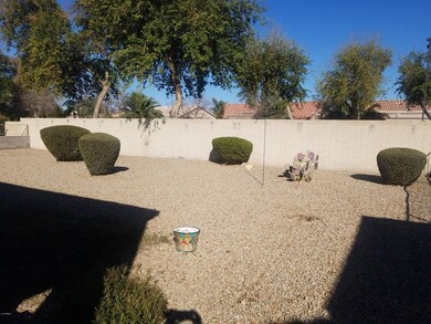 large backyard