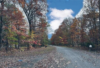 Access from community road
