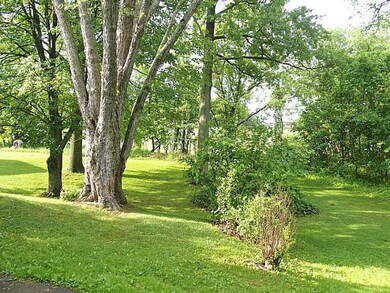 Land/Lot. Bring all your outdoor ideas here!  Spac