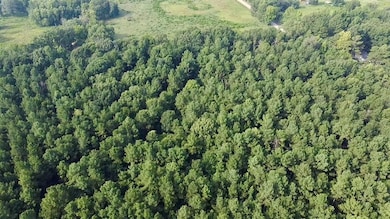 Aerial overview of property's location featuring a forest