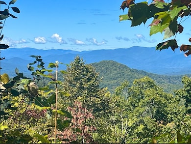 25 25 Stoney Bluff, Bryson City, NC 28803 - photo 5