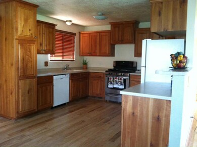 Kitchen View 2