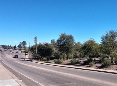 201 W Longhorn Rd, Payson, AZ 85541 - photo 7