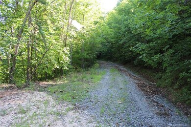 Looking up Overlook Point Lane along frontage of L