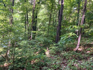 Gallia County