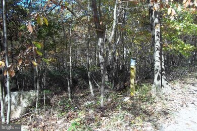 0 Johnny Cake Rd unit 1004197136, Great Cacapon, WV 25422 - photo 2