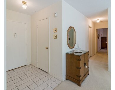 Hammond Park Condominiums unit 204, Chestnut Hill, MA 02467 - photo 3