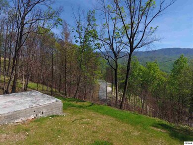 Additional View 7