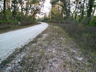 Lot 19 NE 497th St, Old Town, FL 32680 - photo 2