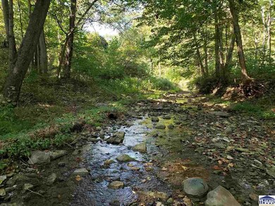 2967 E Flint Rd, Attica, IN 47918 - photo 4