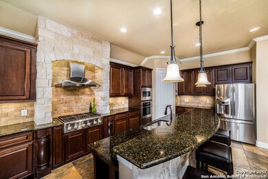 25946 Natal Plum, San Antonio, TX 78261 - photo 5