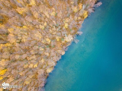 10465 N Little Lonely Lake Rd, Willow, AK 99688 - photo 6