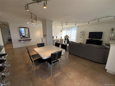 North Shore Towers unit 32O, Floral Park, NY 11005 - photo 6