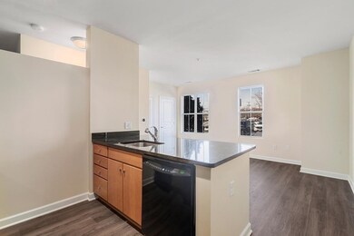 4 Repton Cir unit 4111, Watertown, MA 02472 - photo 6