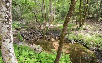 Additional View