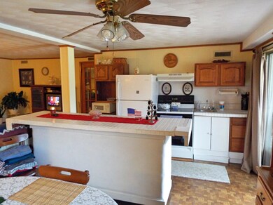 508 Ensley Dr, Knoxville, TN 37920 - photo 6