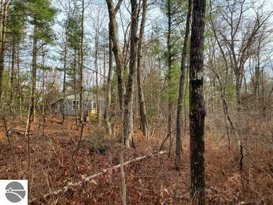 2030 George St, Prescott, MI 48756 - photo 5