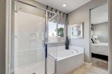 Owner's Bath