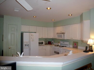 403 Plumbridge Ct unit 403, Lutherville Timonium, MD 21093 - photo 4