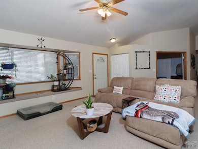 938 N Gantts Fort Ave, Pueblo, CO 81007 - photo 5