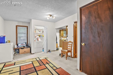 Foyer entrance featuring light carpet, washer / dryer, and a textured ceiling
