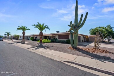 Saguaro Cactus
