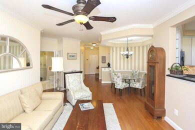 2111 Ganton Green unit 309, Woodstock, MD 21163 - photo 7