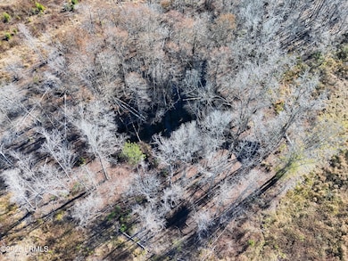 Tbd Midway St, Bamberg, SC 29003 - photo 5