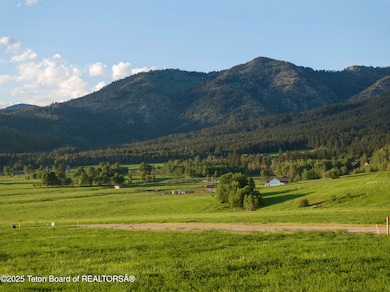 Web - Elk Flats-11