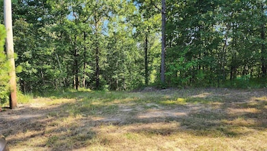 Lot 7 Oversprings Dr, Alexander, AR 72002 - photo 5