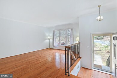 6800 Earthstar Ct, Springfield, VA 22152 - photo 5