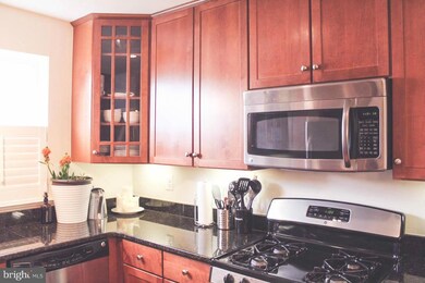 4119 S Four Mile Run Dr unit 302, Arlington, VA 22204 - photo 5