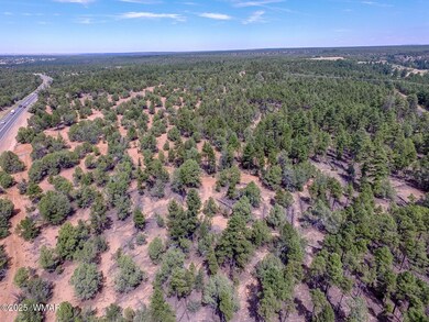 DJI_0010