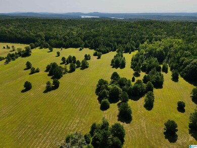 0 Highway 145 unit 1 21425973, Shelby, AL 35143 - photo 2