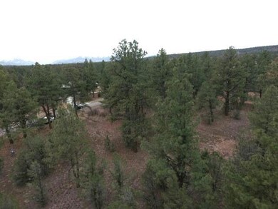 DJI_0024