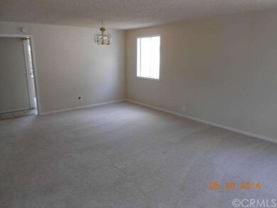 dining area - living room combo 