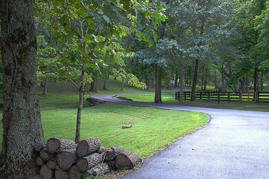 Long Tree Lined Driveway