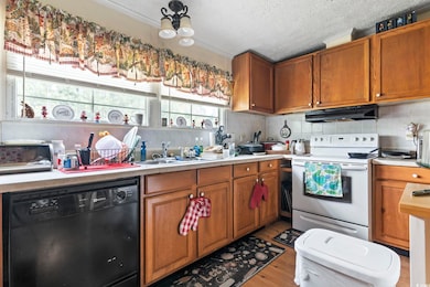 Kitchen featuring dishwasher, electric range, under cabinet range hood, a sink, and light countertops