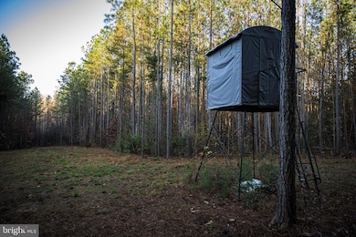 TBD Iris Rd, Mascot, VA 23108 - photo 7