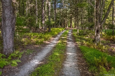 101 Lackawack Hill Rd, Napanoch, NY 12458 - photo 2