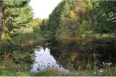 351 Ware Corner Rd, Oakham, MA 01068 - photo 2